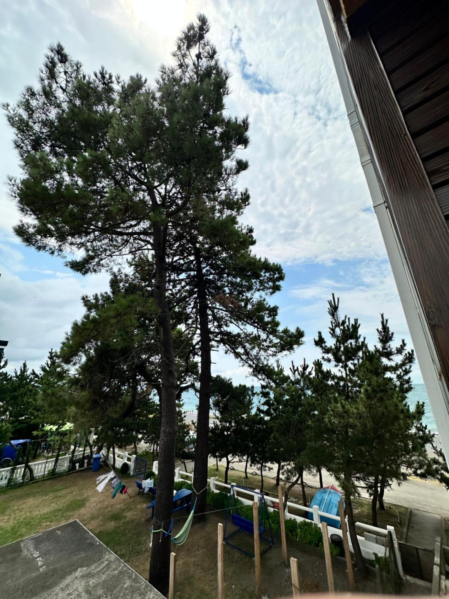 Hotel black sea Koboeleti Buitenkant foto